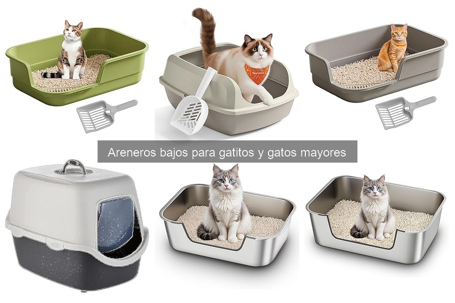 Guía de compra: areneros bajos para gatos mayores