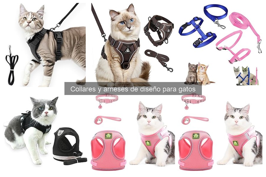 Guía de Compra: Collares y Arneses de Diseño para Gatos