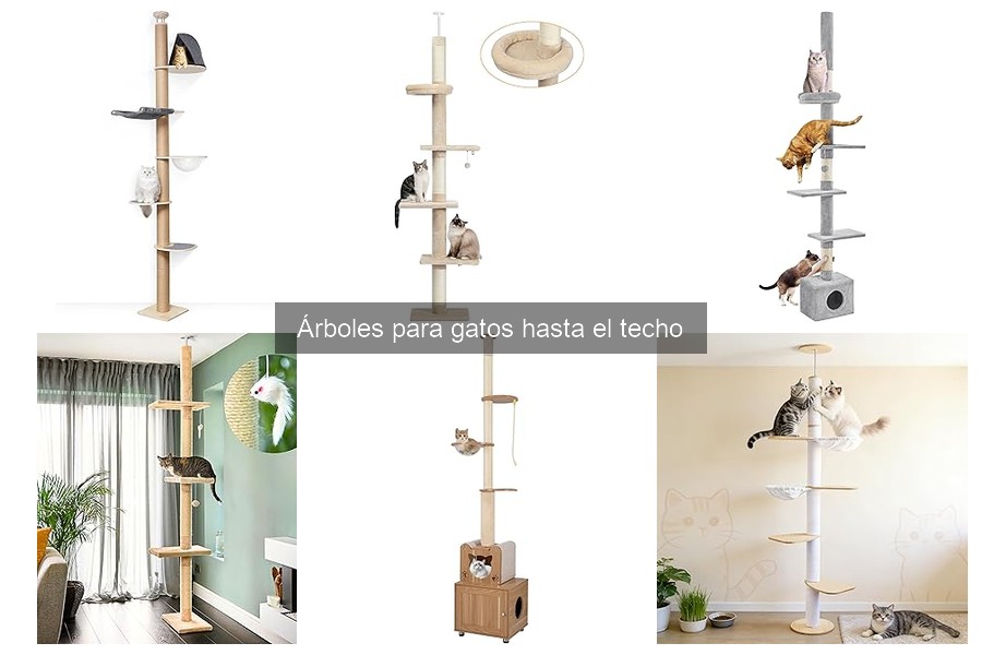 Guía de compra de árboles para gatos hasta el techo