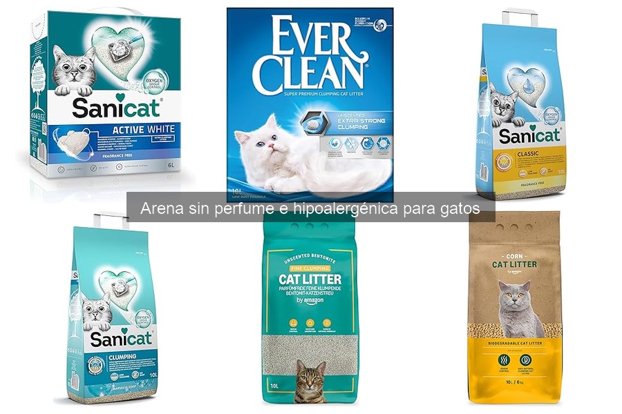 Guía de compra de arena hipoalergénica para gatos