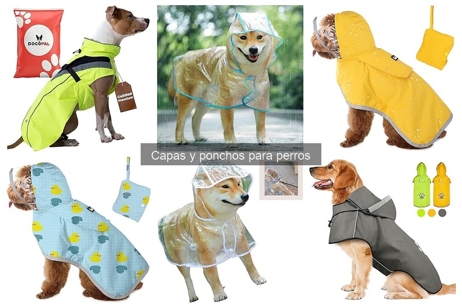 Guía de compra de capas y ponchos para perros