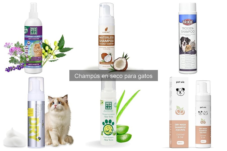 Guía de compra de champús en seco para gatos
