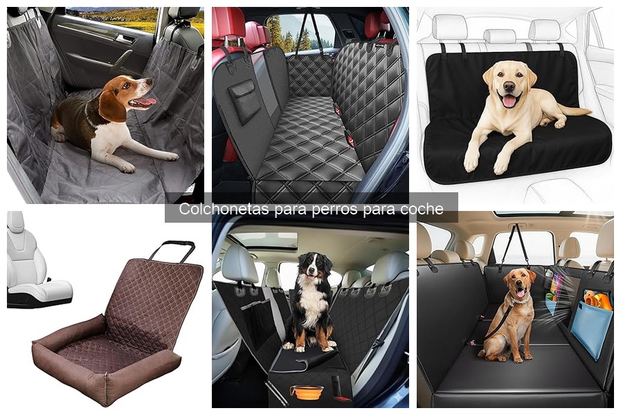 Guía de compra de colchonetas para perros en coche