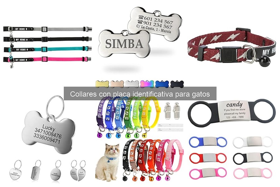 Guía de compra de collares identificativos para gatos