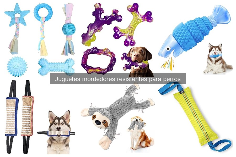 Guía de Compra de Juguetes Mordedores Resistentes para Perros
