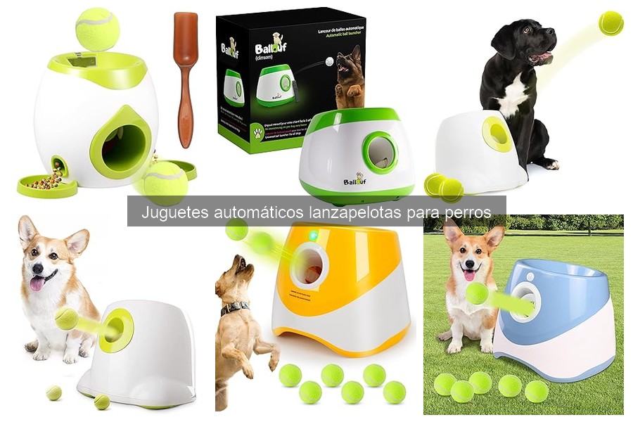 Guía de Compra de Lanzadores Automáticos de Pelotas para Perros