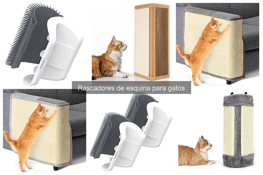 Guía de compra de rascadores de esquina para gatos