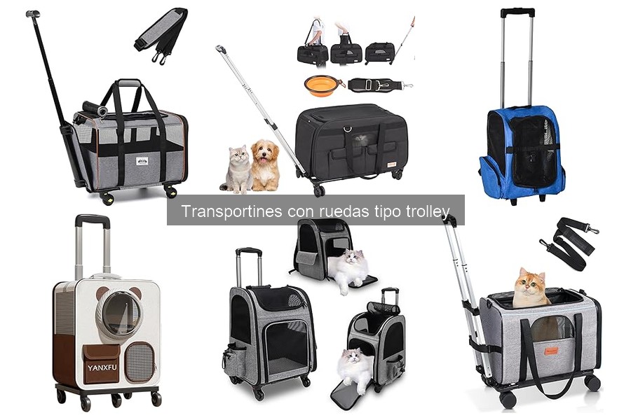 Guía de compra de transportines con ruedas para mascotas