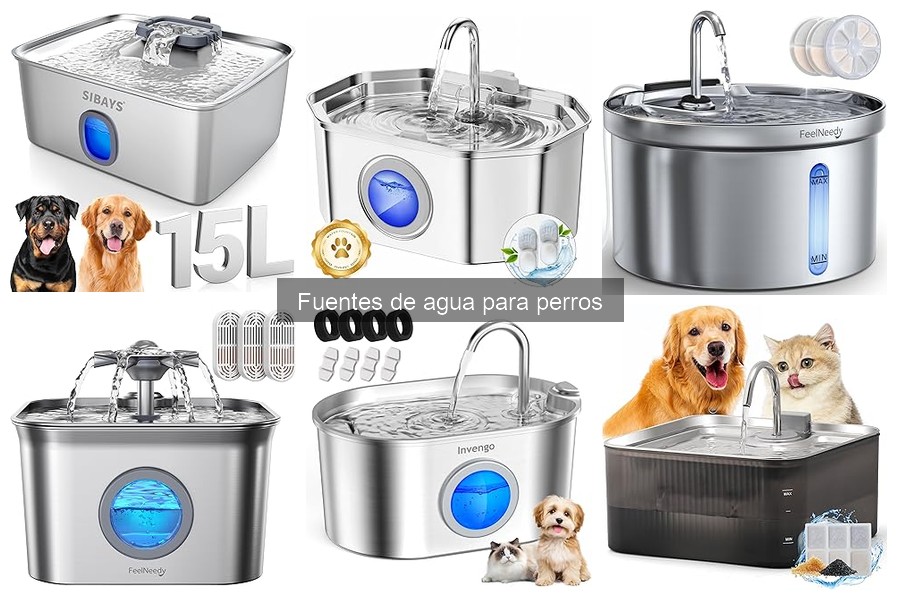 Guía de compra: Fuentes de agua para perros y gatos
