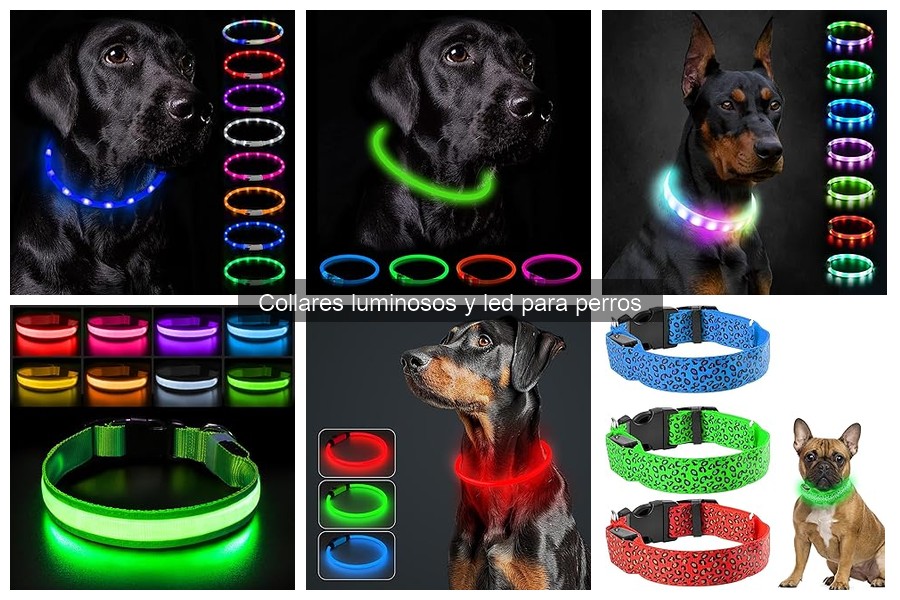 Guía de instalación de collares luminosos para perros