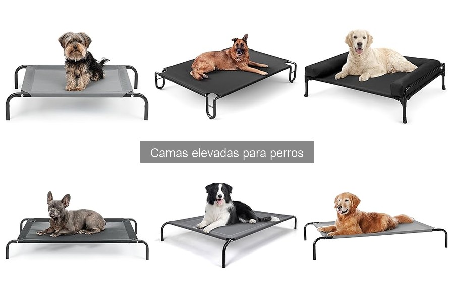 Guía de instalación y mantenimiento de camas elevadas para perros