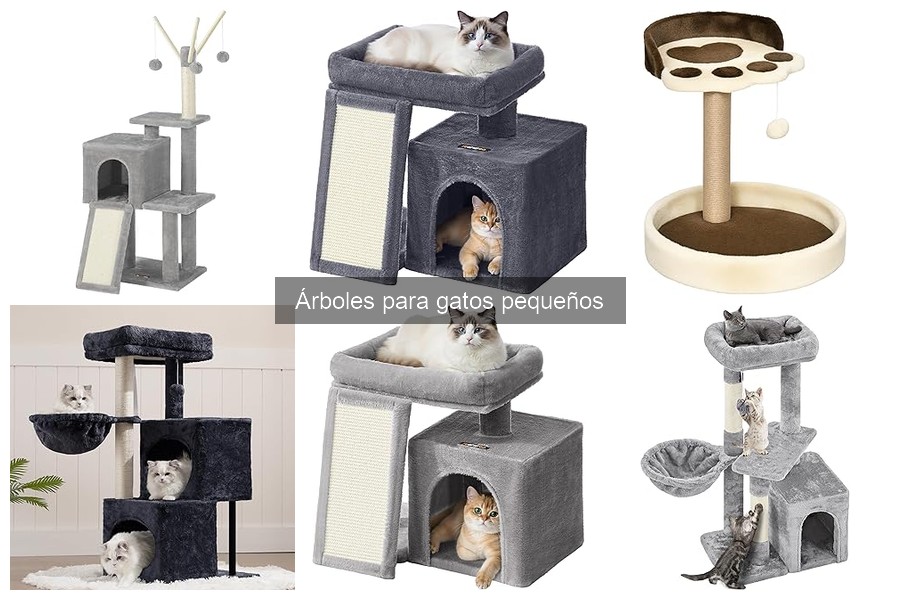 Guía de Mantenimiento para Árboles de Gatos Pequeños