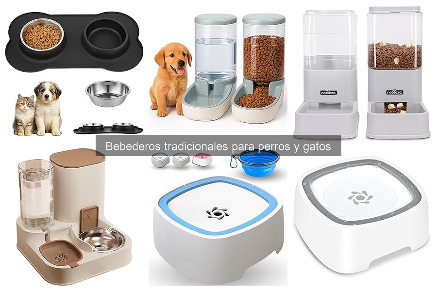 Guía de Uso Adecuado de Bebederos Tradicionales para Mascotas