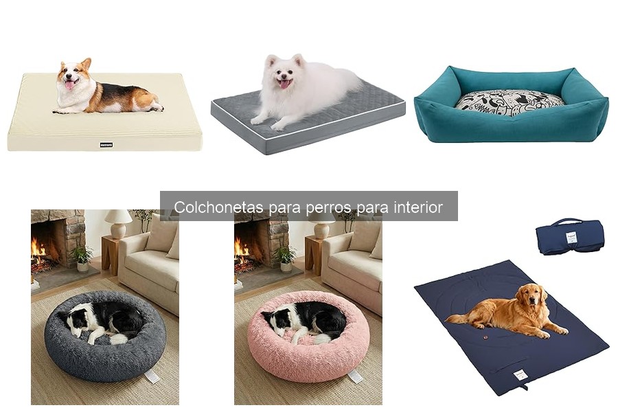 ** Guía para Comprar Colchonetas para Perros Interior