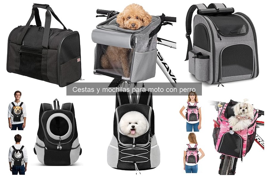 Guía para elegir cestas y mochilas para moto con perro