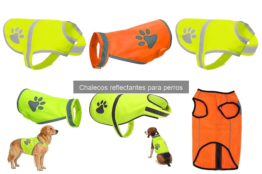 Guía para elegir chalecos reflectantes para perros