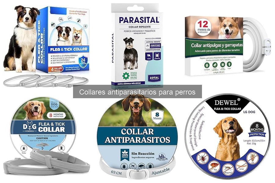 Guía para elegir collares antiparasitarios para perros