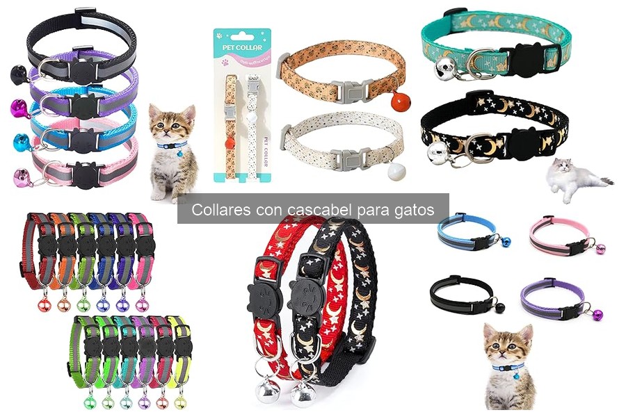 Guía para Elegir el Collar con Cascabel Ideal para Gatos