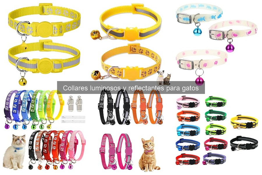 Guía para elegir el collar luminoso ideal para tu gato