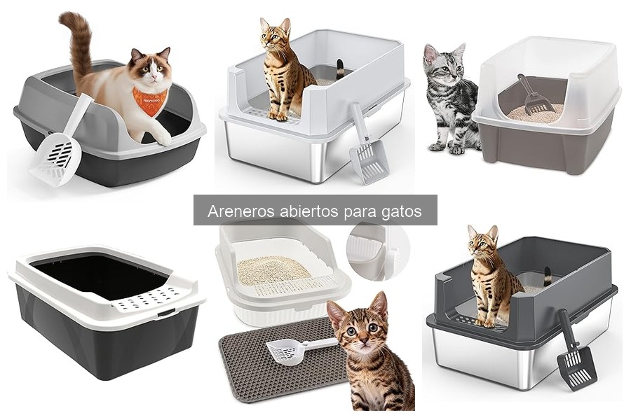 Guía para elegir el mejor arenero abierto para gatos