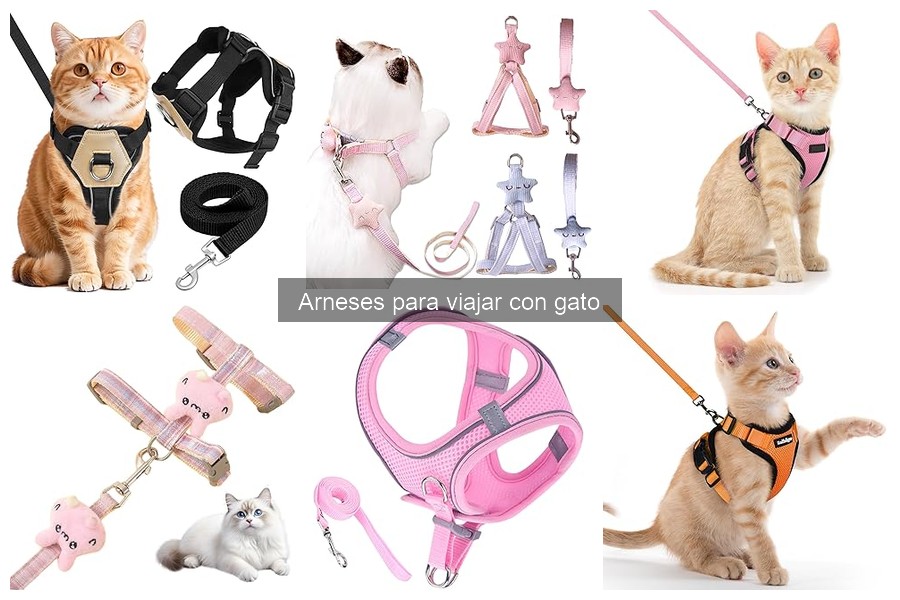 Guía para elegir el mejor arnés para viajar con gatos
