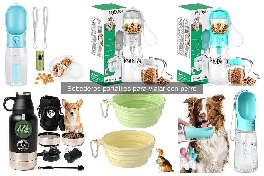 Guía para elegir el mejor bebedero portátil para perros