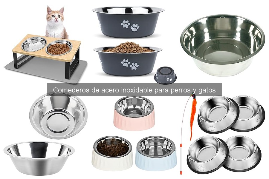 Guía para Elegir el Mejor Comedero de Acero Inoxidable