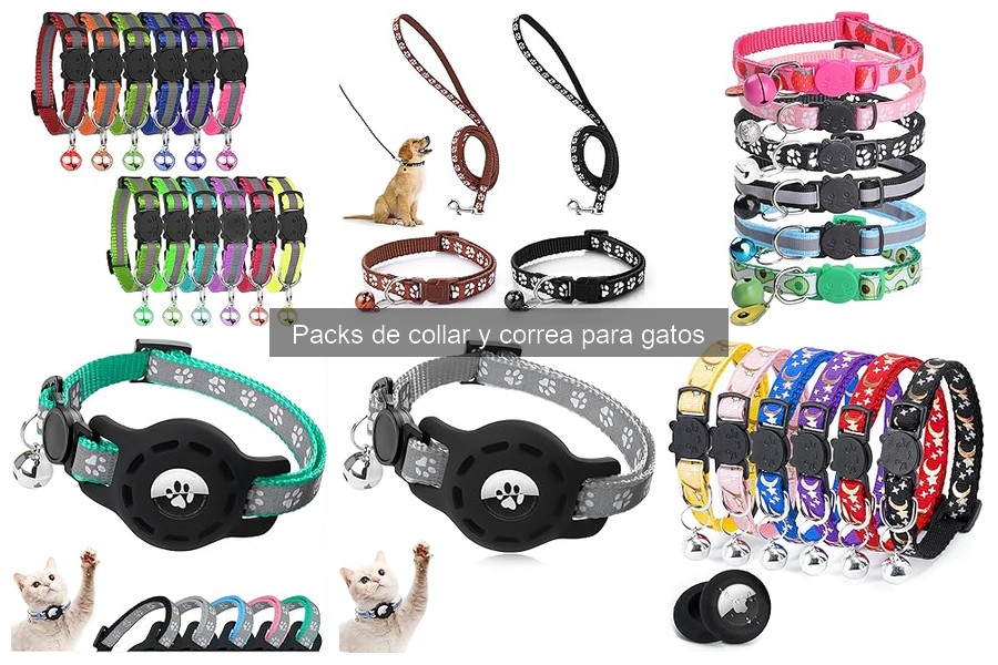 Guía para Elegir el Mejor Pack de Collar y Correa para Gatos