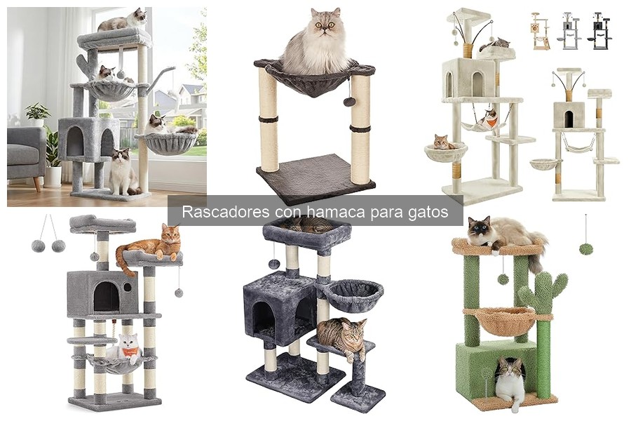 Guía para elegir el mejor rascador con hamaca para gatos