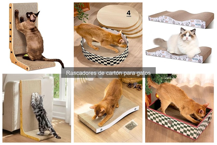 Guía para Elegir el Mejor Rascador de Cartón para Gatos