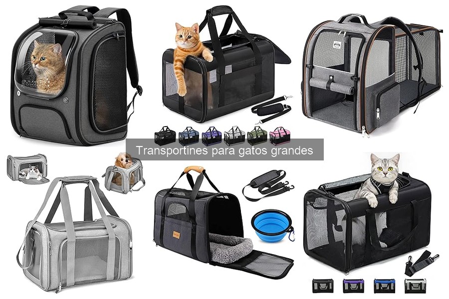 Guía para elegir el mejor transportín para gatos grandes