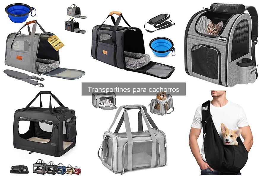 Guía para elegir el transportín adecuado para cachorros
