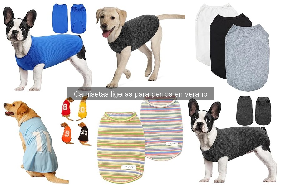 Guía para elegir la camiseta ligera perfecta para tu perro
