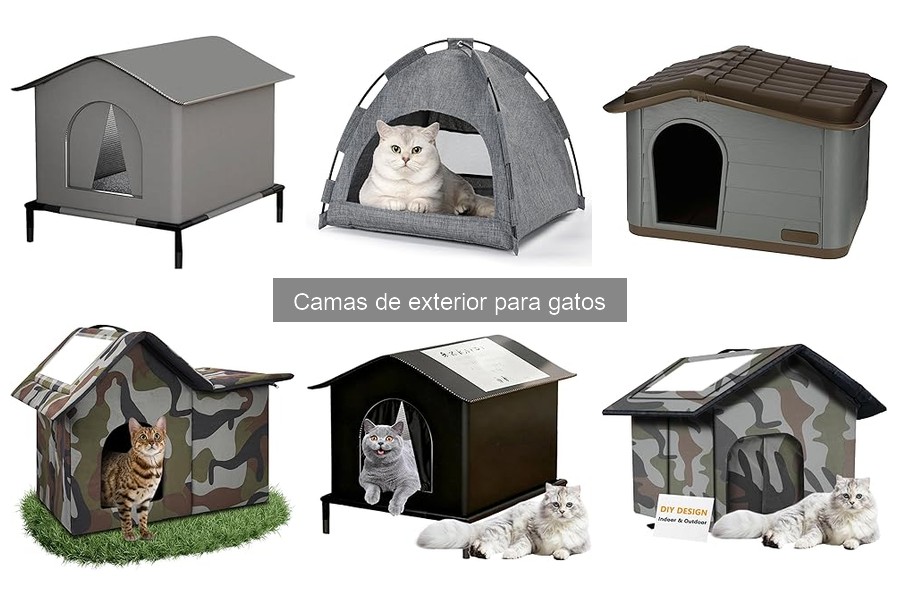 Guía para elegir la mejor cama de exterior para gatos