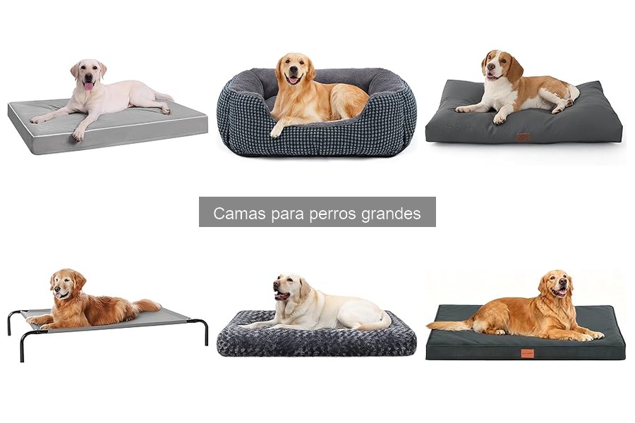 Guía para Elegir la Mejor Cama para Perros Grandes