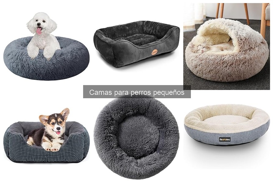 Guía para elegir la mejor cama para perros pequeños