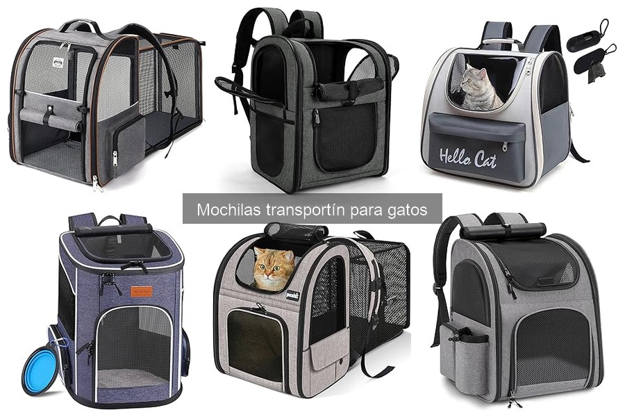 Guía para elegir la mejor mochila transportín para gatos