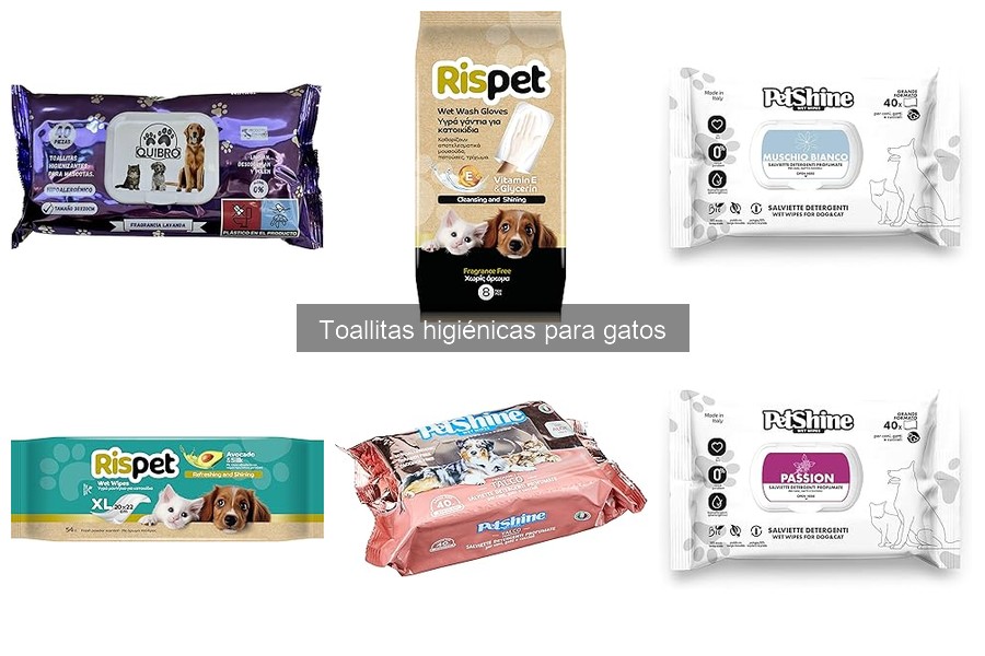 Guía para elegir las mejores toallitas higiénicas para gatos