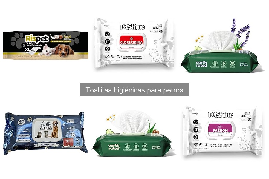 Guía para elegir toallitas higiénicas según la raza de perros