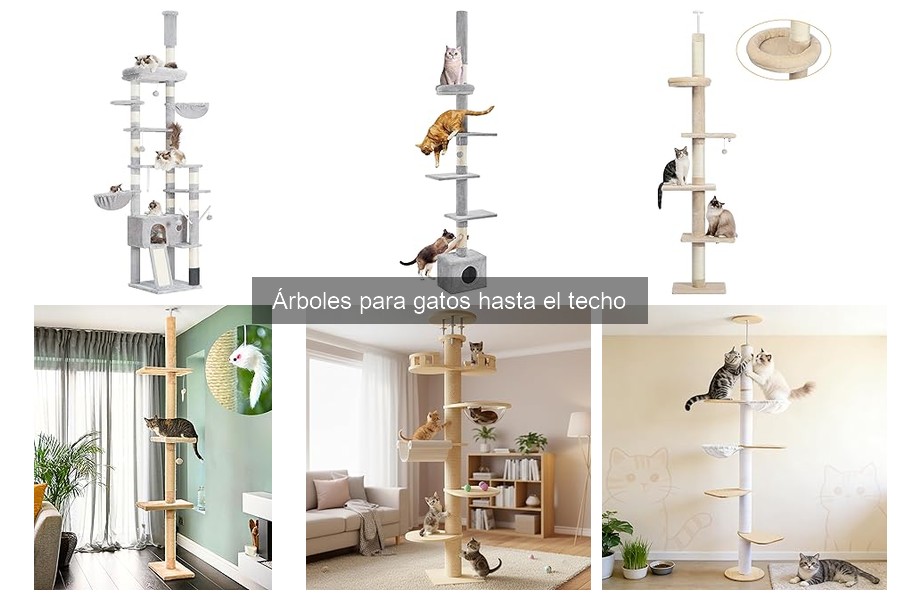 Guía para Instalar un Árbol para Gatos hasta el Techo