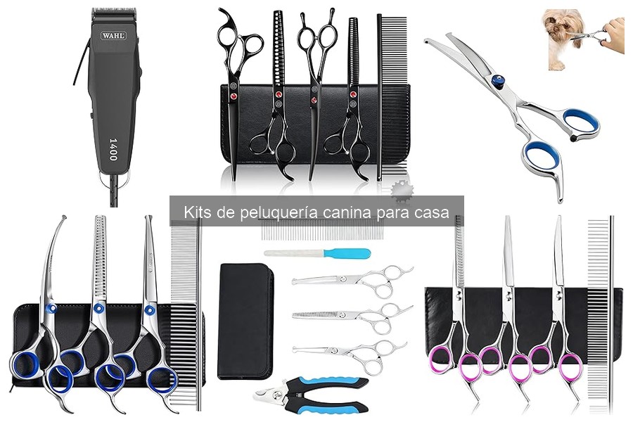 Guía para Usar un Kit de Peluquería Canina en Casa