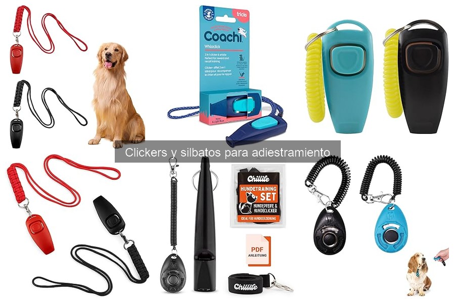 Guía para Utilizar el Clicker en el Adiestramiento de Mascotas