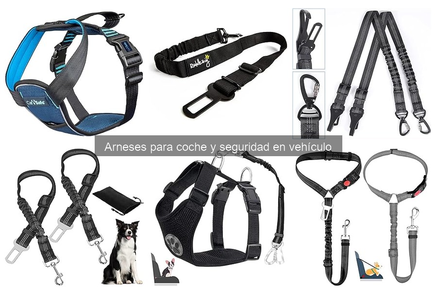 Guía sobre arneses de coche para perros: importancia y beneficios