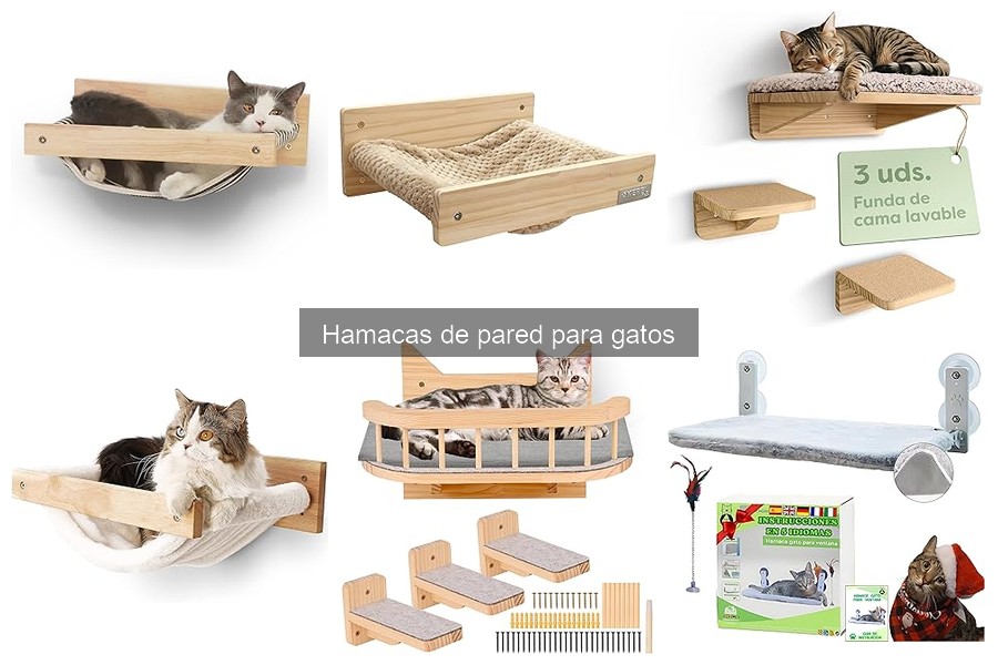 Hamacas de Pared para Gatos: ¿Qué Son y Sus Beneficios?