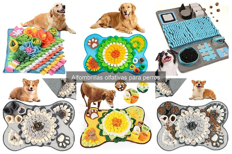 Ideas creativas para usar alfombrillas olfativas en perros