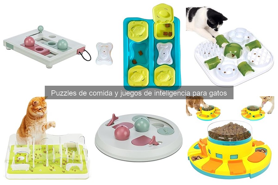 ** Ideas de juegos de inteligencia para estimular a tu gato
