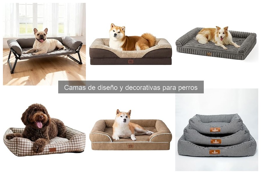 Impacto de camas de diseño en la salud de tu perro