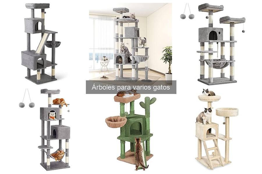 Importancia de un Árbol para Gatos en Su Bienestar