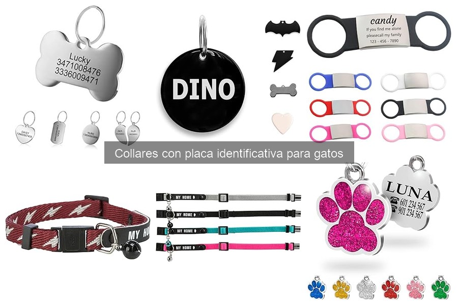 Importancia del collar identificativo para gatos