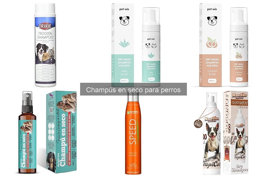 Ingredientes a evitar en champús en seco para perros